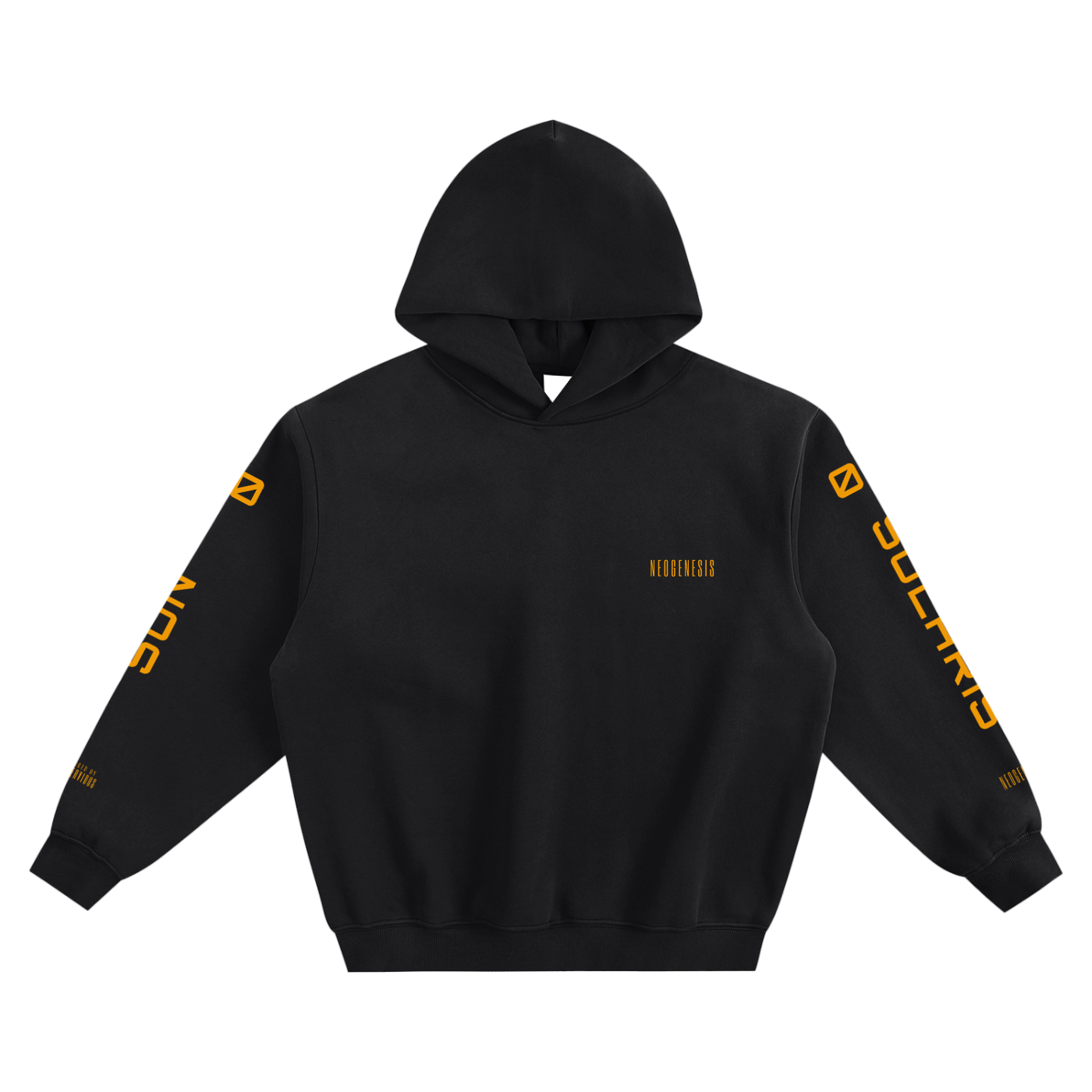 Solaris Fleeced Boxy Hoodie